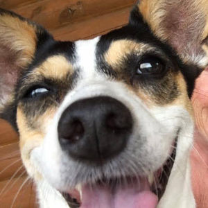 Meet your Posher, Mindy